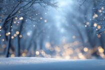 A Few Snow Chances on the Table for Jersey