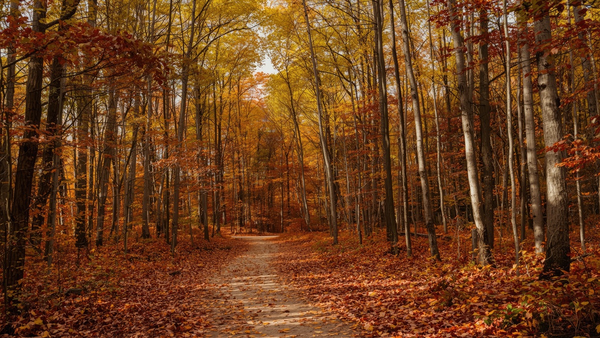 Mixed Conditions Before the Cold Arrives