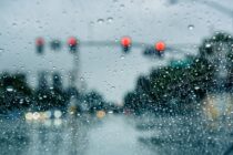 What to Expect Monday (Tomorrow)