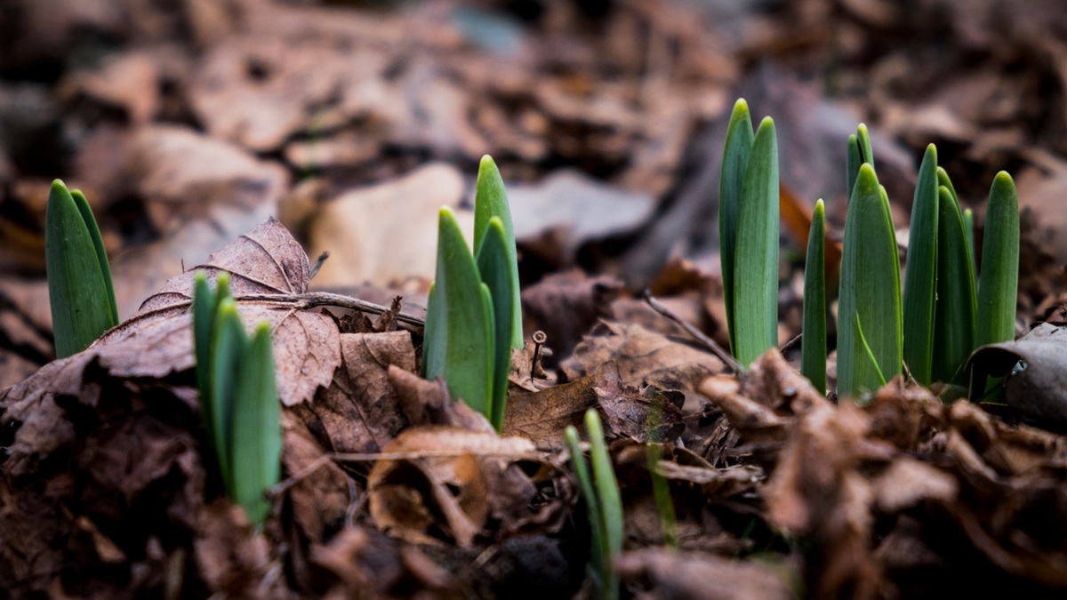 Improved but Mixed Conditions