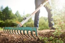 Mild Before Heat Arrives