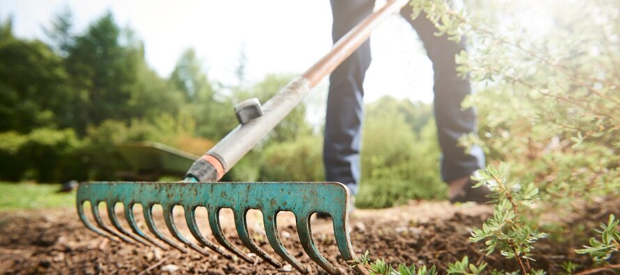 Mild Before Heat Arrives