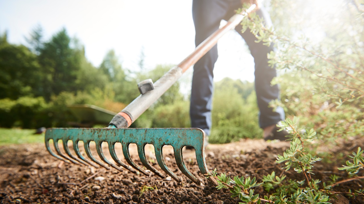 Mild Before Heat Arrives