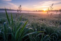 Cool Pattern Establishing