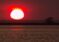 Heat Wave Begins