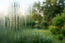 Unsettled and Muggy