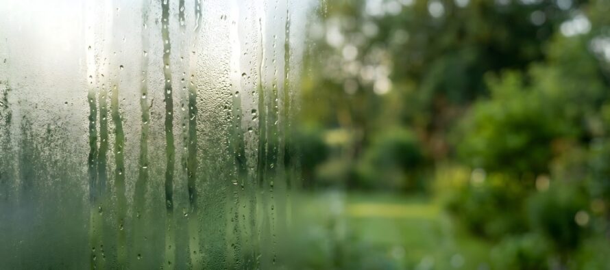 Unsettled and Muggy