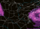 Possible Nor’easter Detected