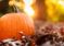 More Great Fall Conditions