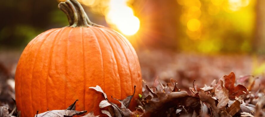 More Great Fall Conditions