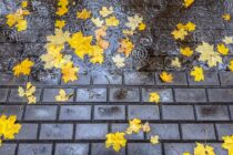 Weekend Outlook – Mixed Transition into Fall