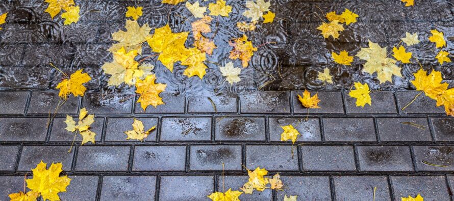 Weekend Outlook – Mixed Transition into Fall