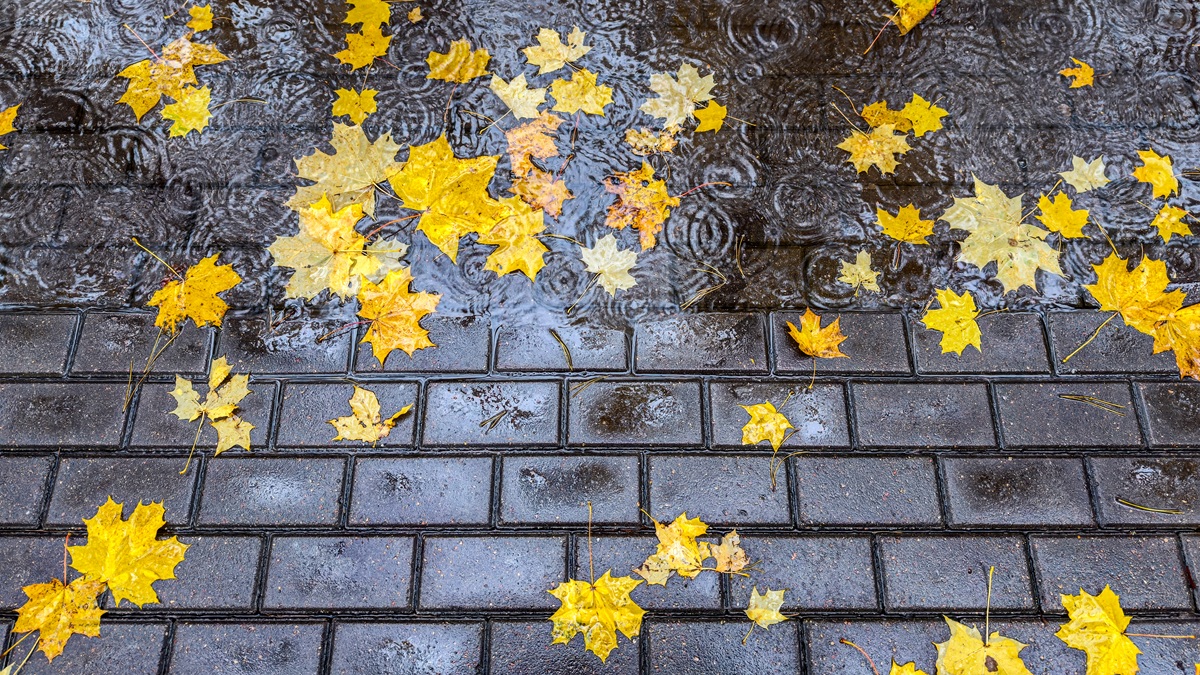 Weekend Outlook – Mixed Transition into Fall