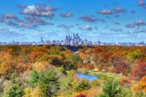 More Stellar Fall Conditions