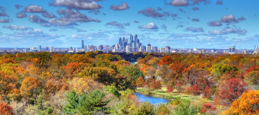More Stellar Fall Conditions