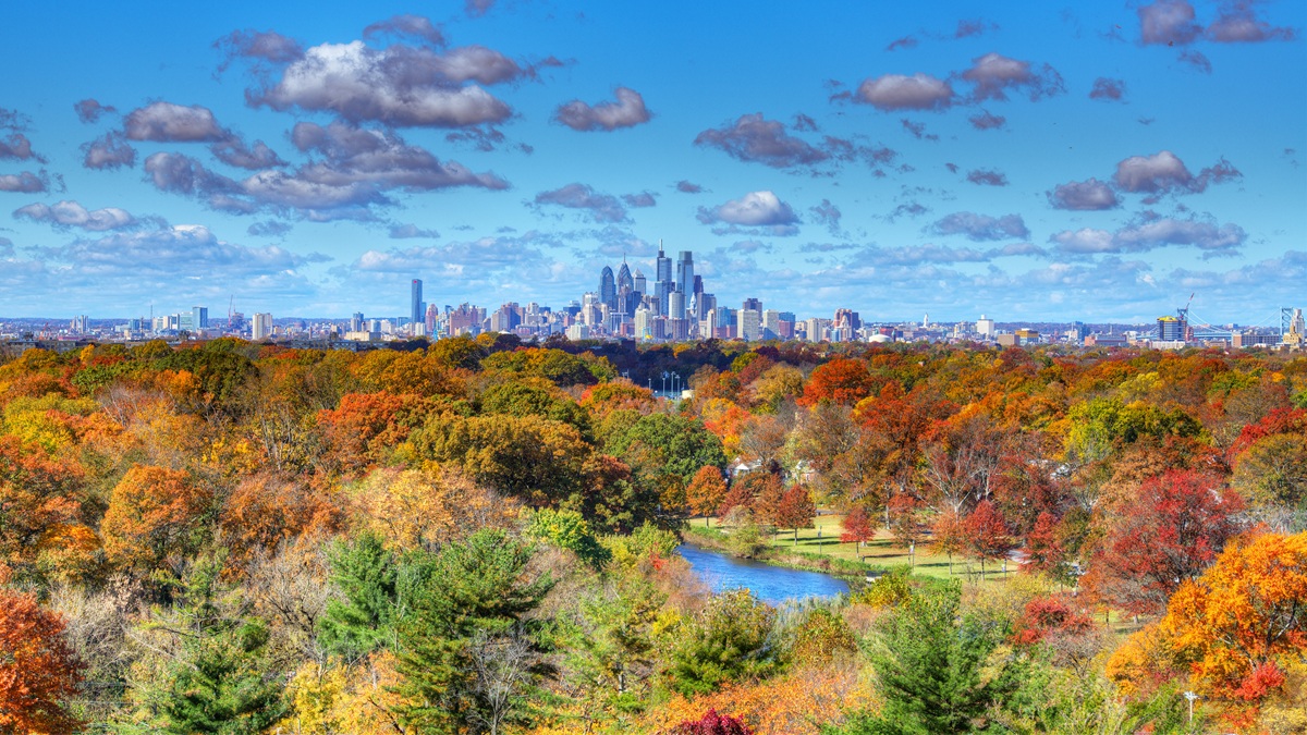 More Stellar Fall Conditions