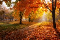 Gorgeous October Conditions