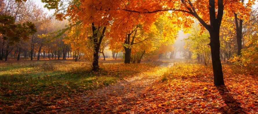 Gorgeous October Conditions