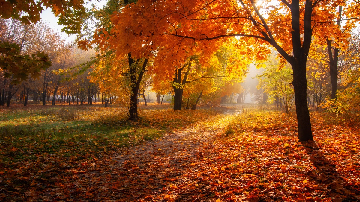 Gorgeous October Conditions