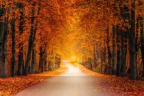 Immaculate Fall Conditions
