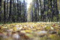 Stormy Fall Continues