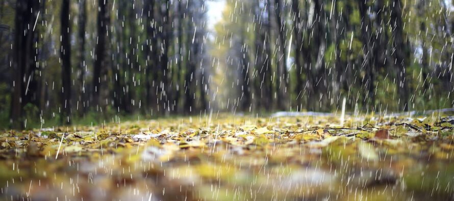 Stormy Fall Continues
