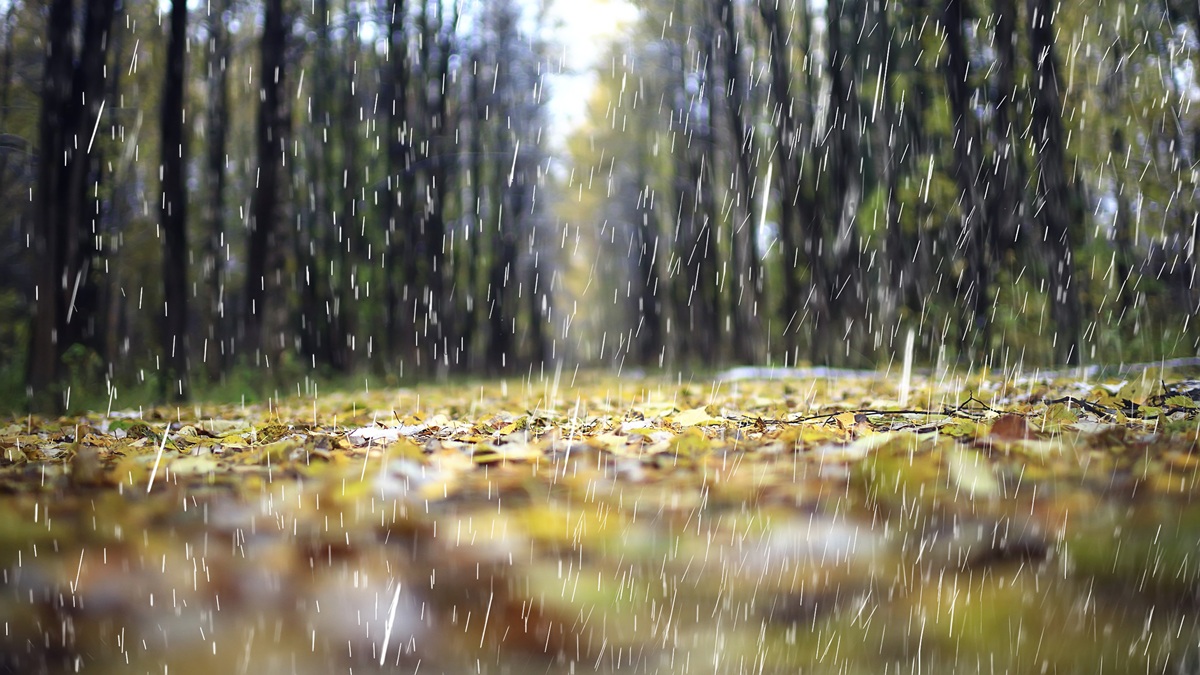 Stormy Fall Continues